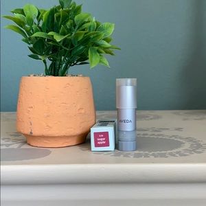 Aveda nourishing mint lip color 320 sugarmaple